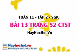 Bài 13 trang 52 Toán 11 tập 2 Chân trời sáng tạo